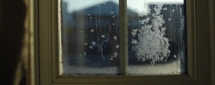 3 Tips to Prevent & Reduce Window Condensation